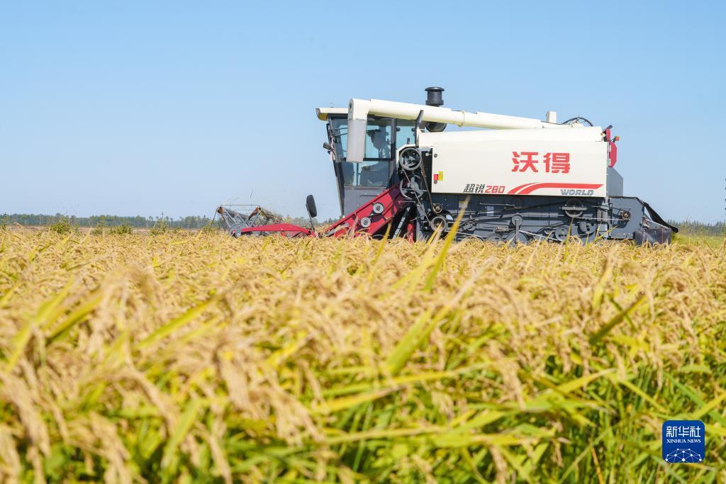 试玩游戏的软件
